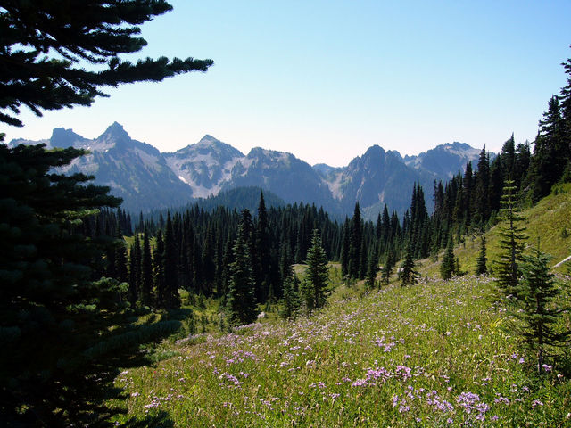 Mt Rainier Nat Park