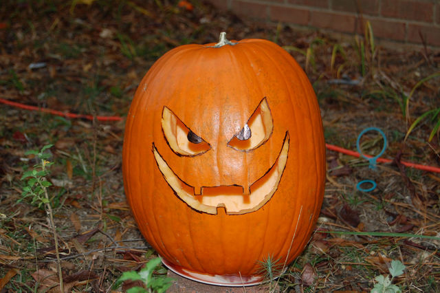 My_pumpkin_08