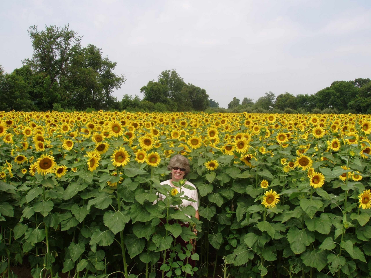 Nanjemoy_Sunny Day