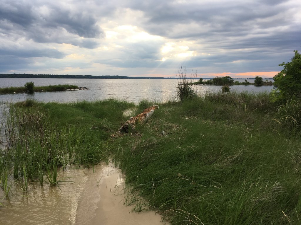 Near St Leonard Creek