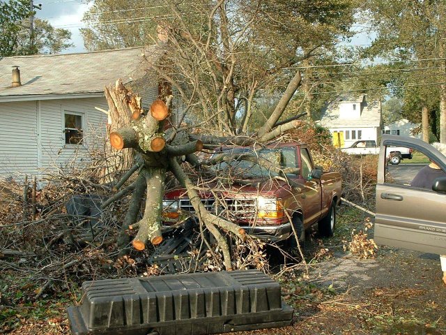 North-Beach-Truck-Tree