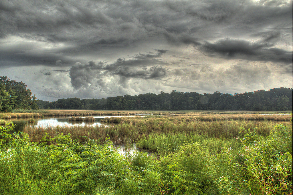 North Beach Wetlands Overlook Park Storm