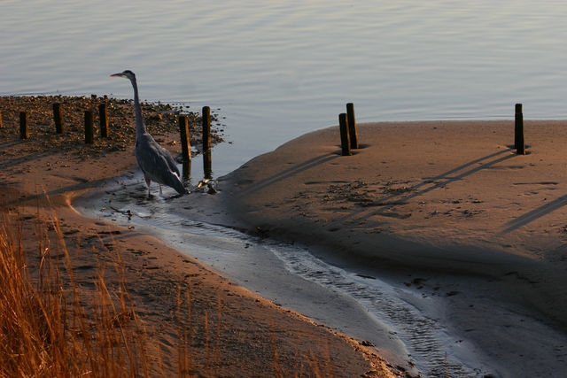 On Breton Bay