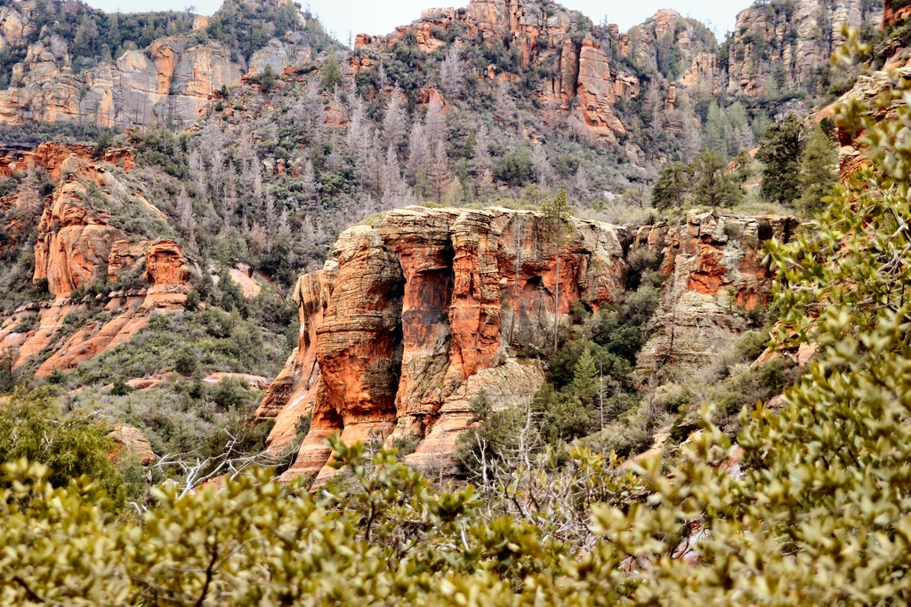 On the way to Oak Creek Canyon