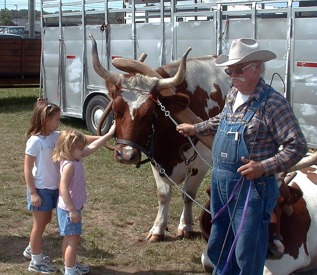 Oxen