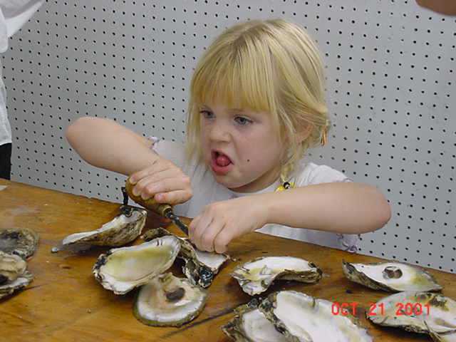 Oyster Festival