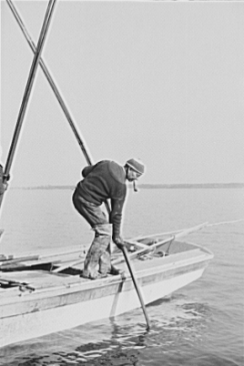 Oyster tonger, Rock Point, Maryland, 1941