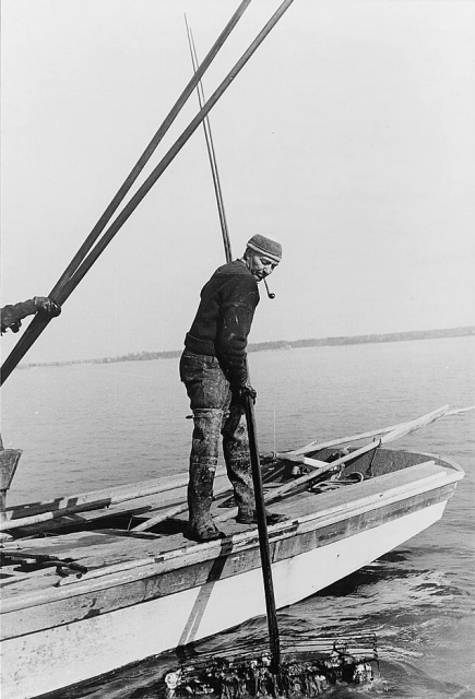 Oyster tongers, Rock Point, Maryland, 1941