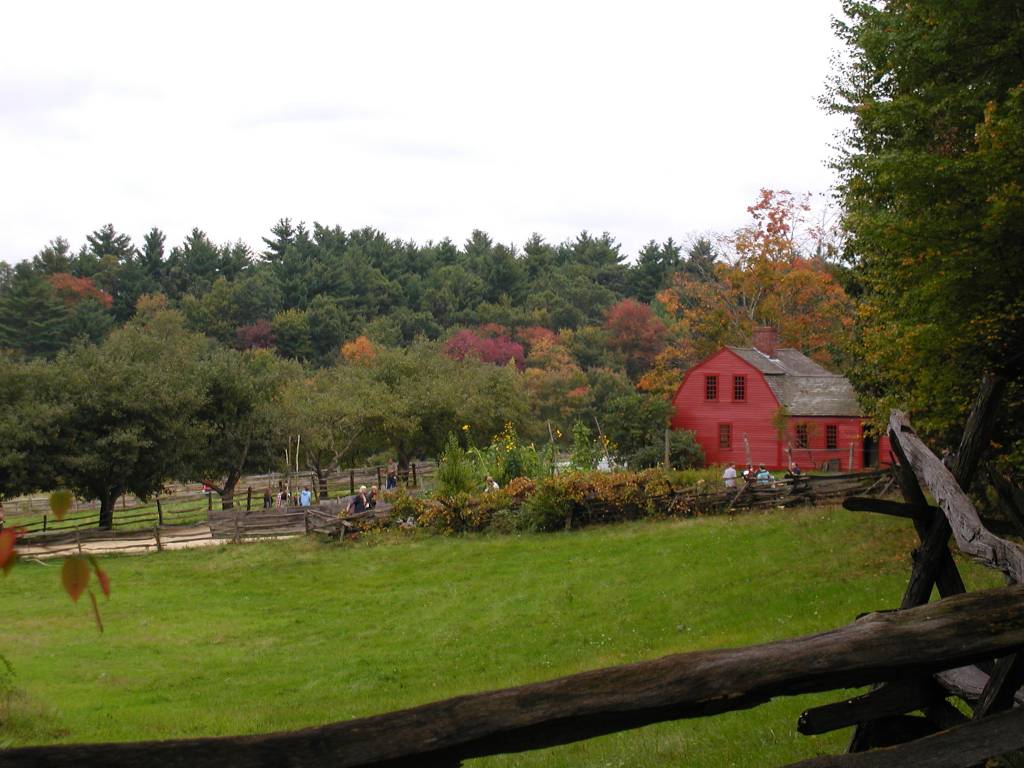 Panorama of the working farm