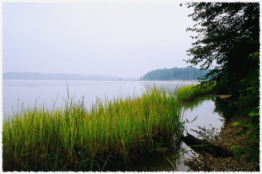 Patuxent shoreline 2