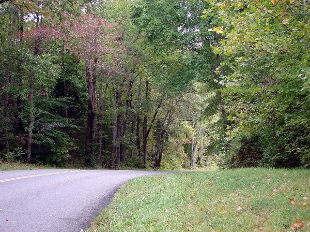 Peaceful road