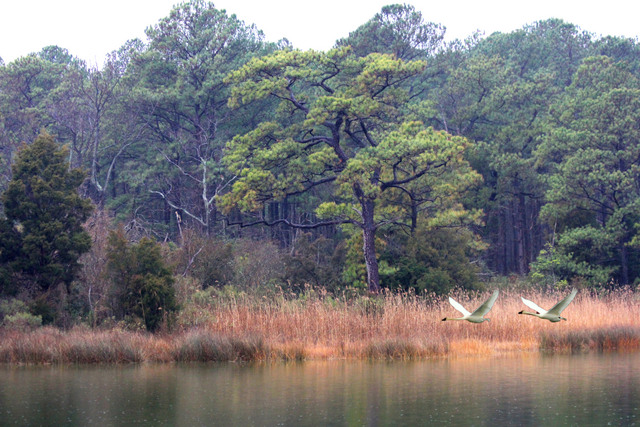 Point Lookout