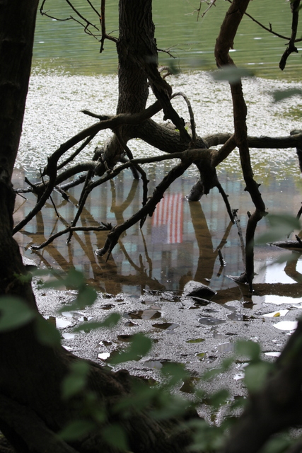 Potomac River at Roosevelt Island