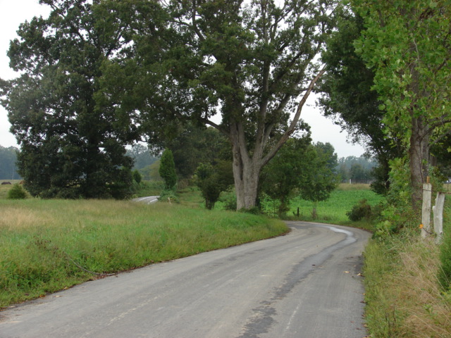 Pretty little road