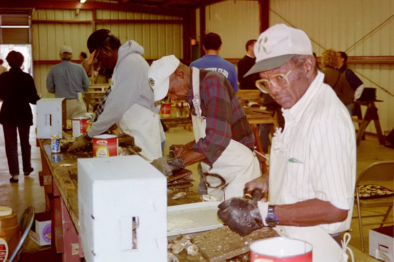 Professional shuckers preparing oysters for sale to the public