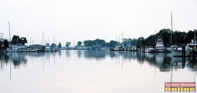 Quiet Morning on Back Creek