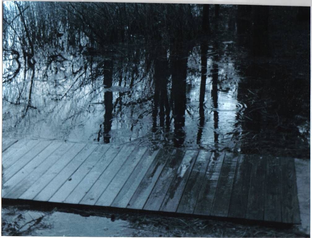 Rainy Boardwalk