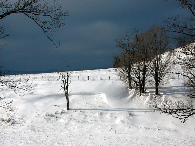 Randolph County WV