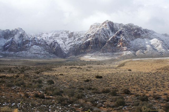 Red Rock Canyon, NV