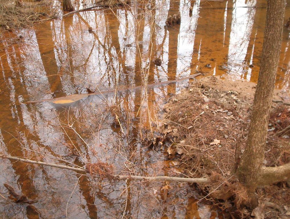 Reflections at Cypress Creek