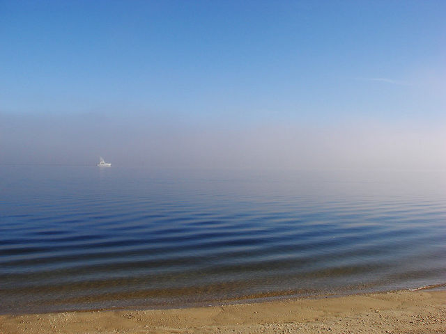 Running Along the Edge of a Fog Bank (Patuxent River)