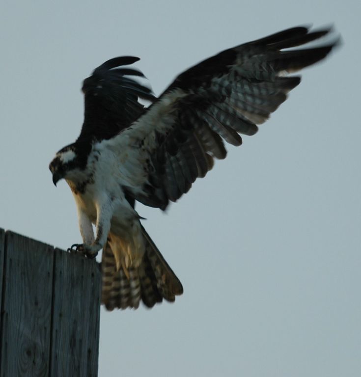 Runway Landing