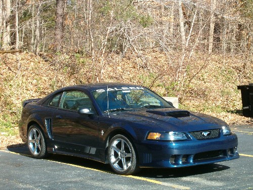 Saleen Mustang from the cruise