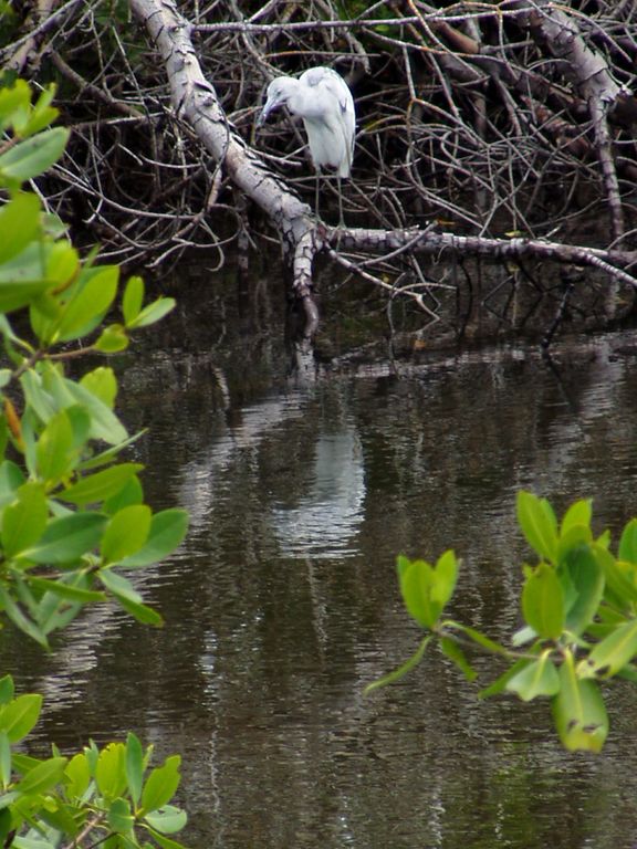 Sanibel Island