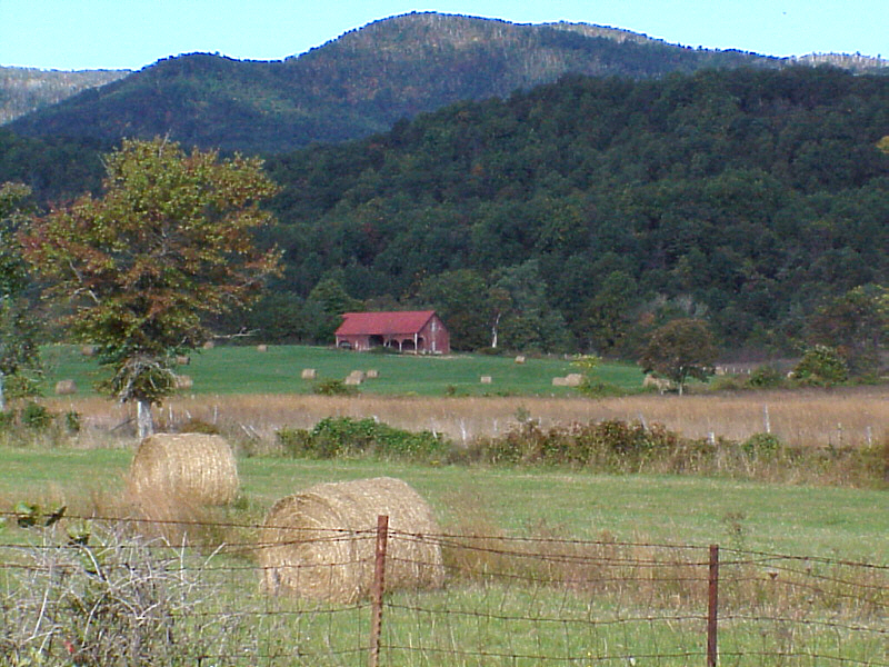 Shenendoah foothills