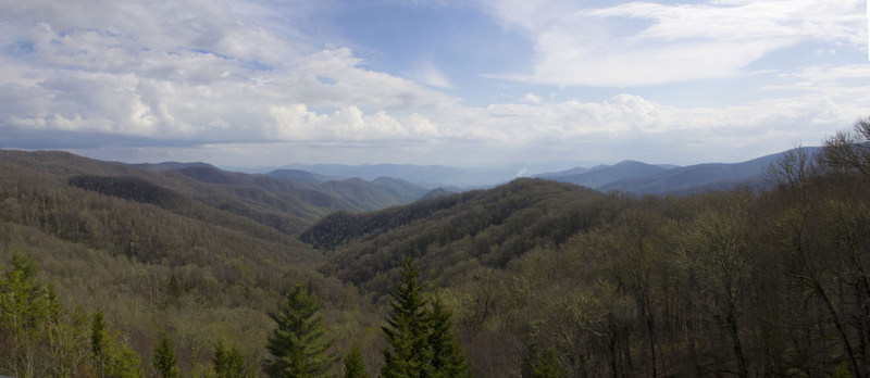 Smokies_2