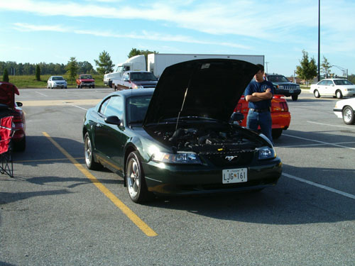 so many beautiful cars