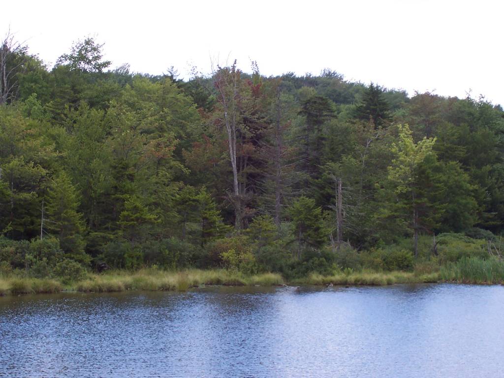 Spruce Knob Lake