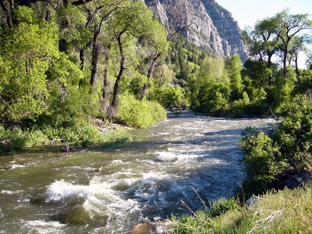 Stream in Utah