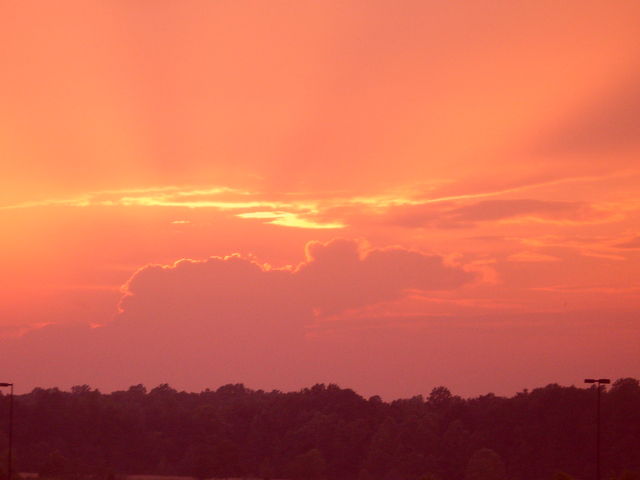 Sunset -Blue Crabs Game