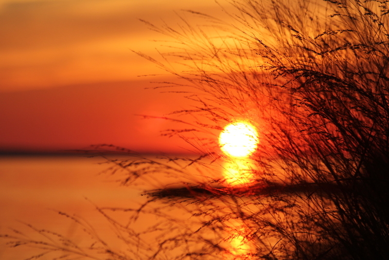 Sunset Newtowne Neck State Park