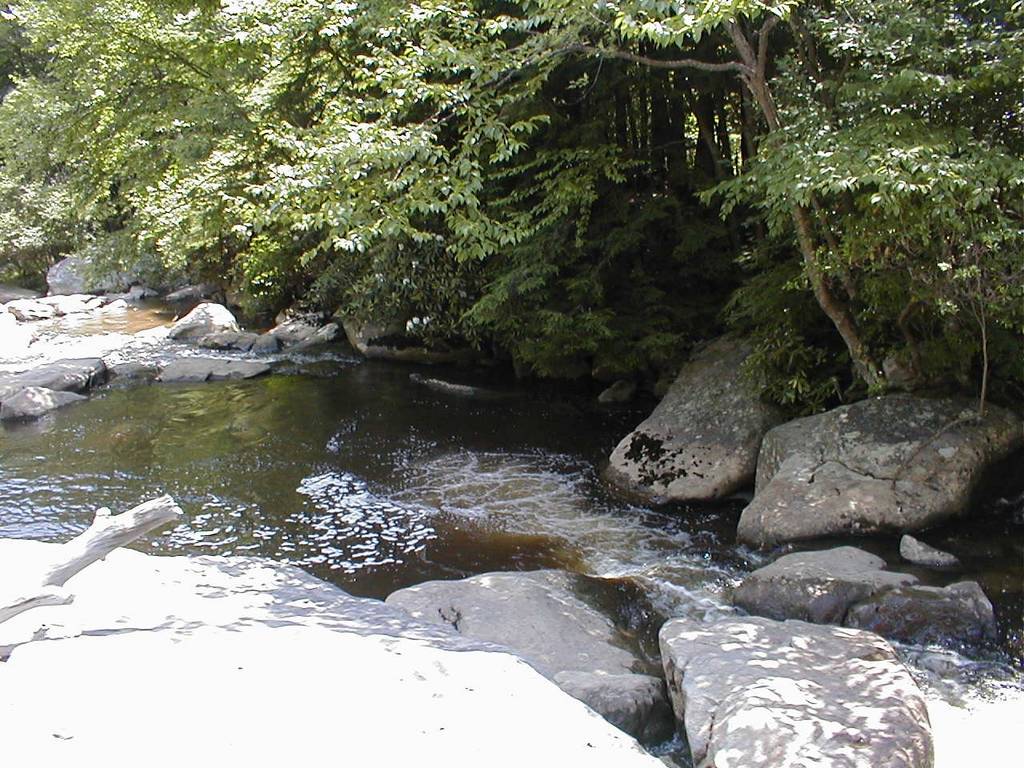 Swimming Hole on Muddy Creek