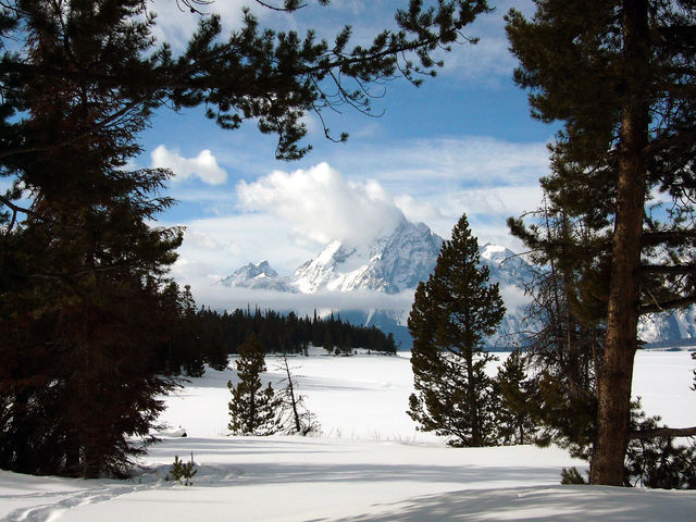 Teton Nat Park Wyoming