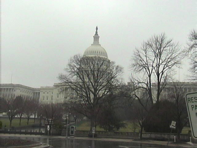 The Capital in the rain