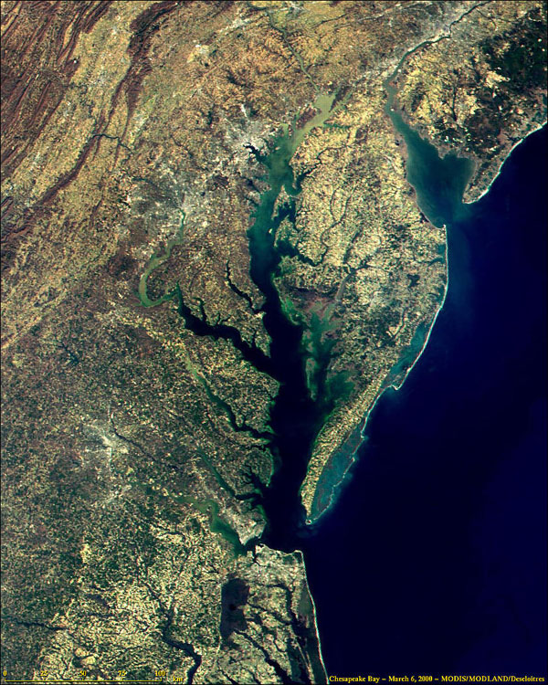 The Chesapeake Bay as seen from NASAs MODIS