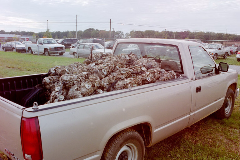 The leftover shells loaded on a truck to be hauled away