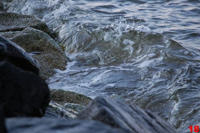 The water at Point Lookout was cool (if not really cold!)