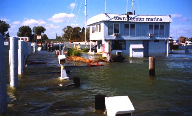 Town Center Marina Underwater