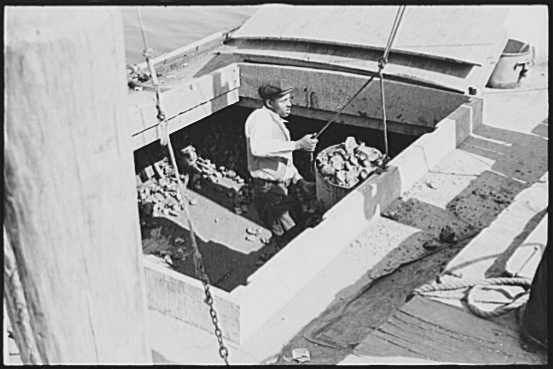 Unloading Oysters, Rock Point, Maryland, 1941