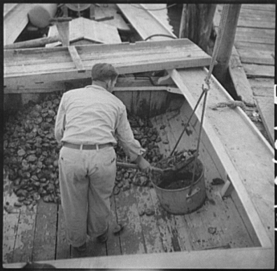 Unloading the oyster boat. Rock Point, Maryland, 1936