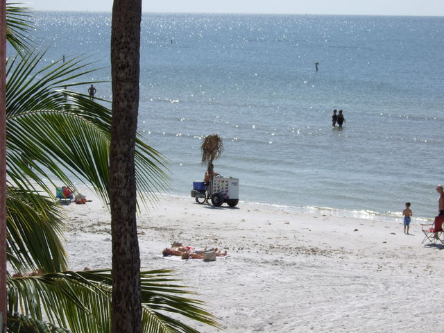 View from Edison Beach House