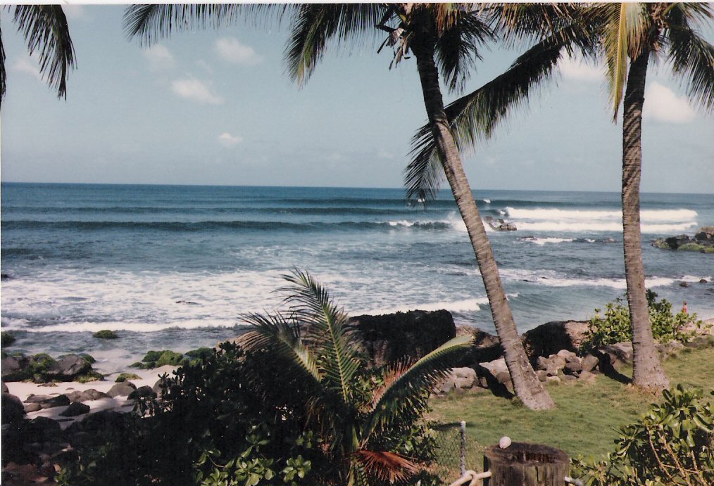 View from my back porch in Hi.