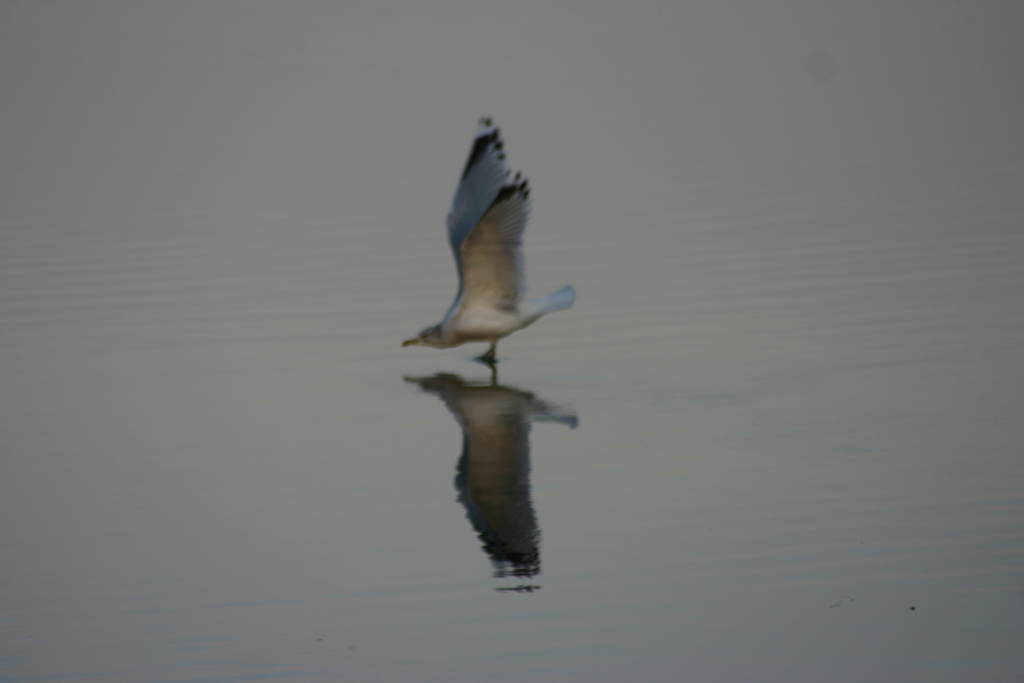 Walking on Water