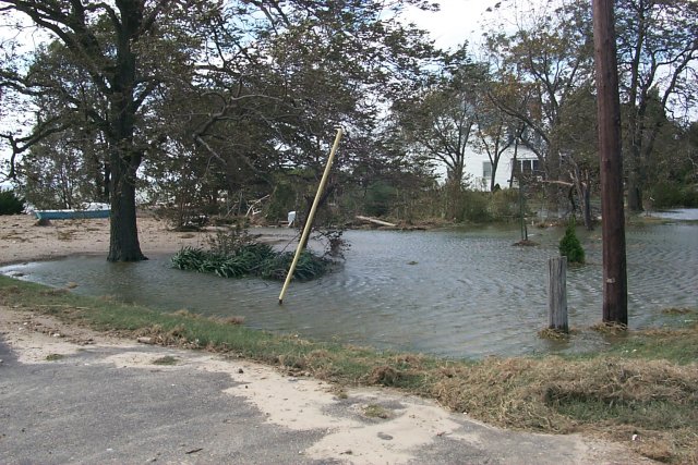 Water in the Yard