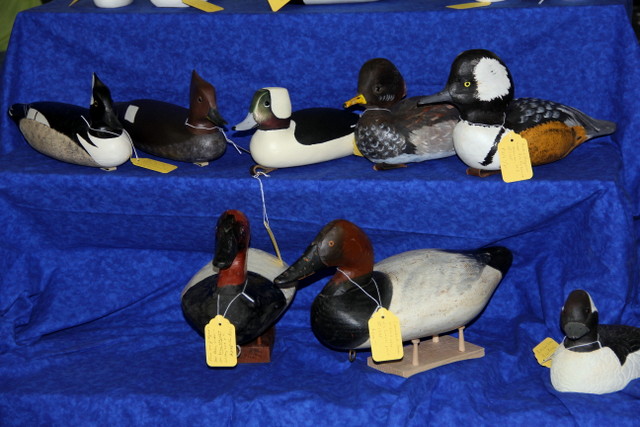 Waterfowl Festival 1