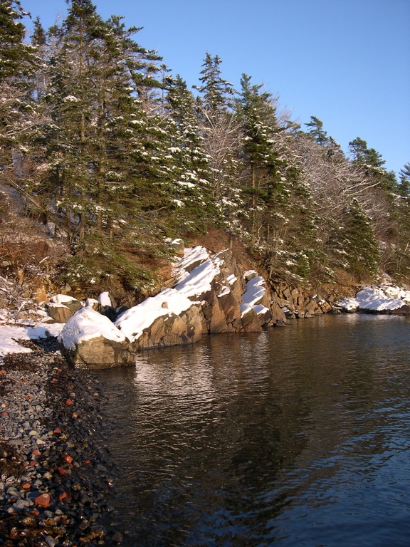 Winter Coastline